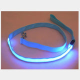 Light Up LED Nylon Dog Leash Night Safety