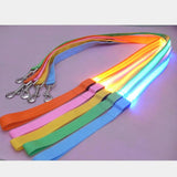 Light Up LED Nylon Dog Leash Night Safety