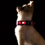 Waterproof LED Nylon Dog Collar Adjustable USB Charging