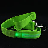 Light Up LED Nylon Dog Leash Night Safety