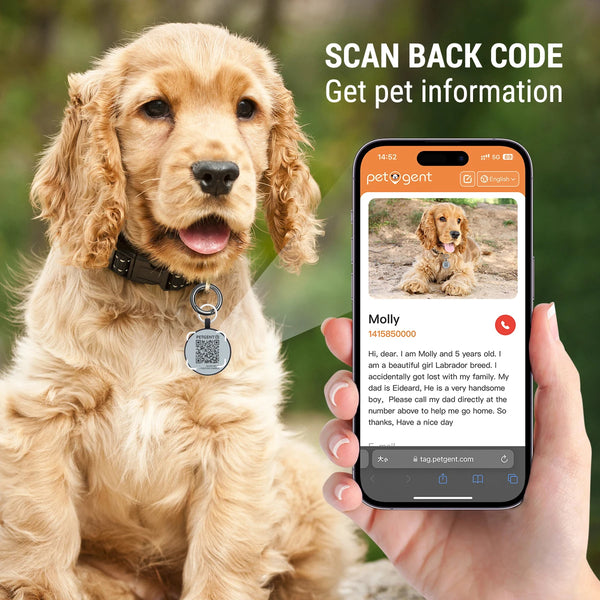 QR Code Personalized Collar